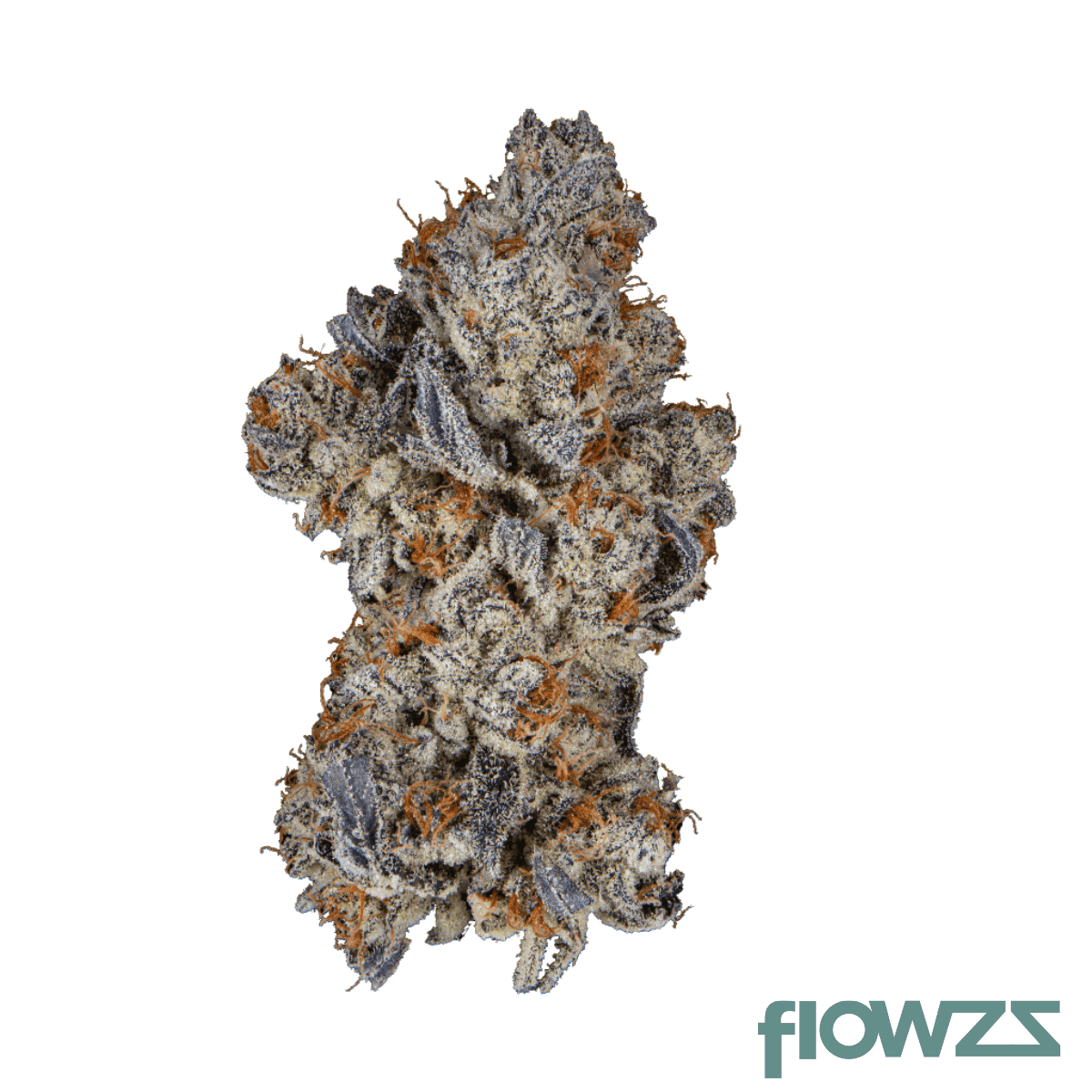 raphie-39-mellowz-08