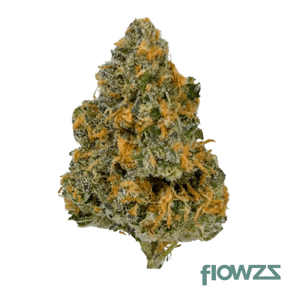 greyscale-hf-29-1-hawaiian-faanta