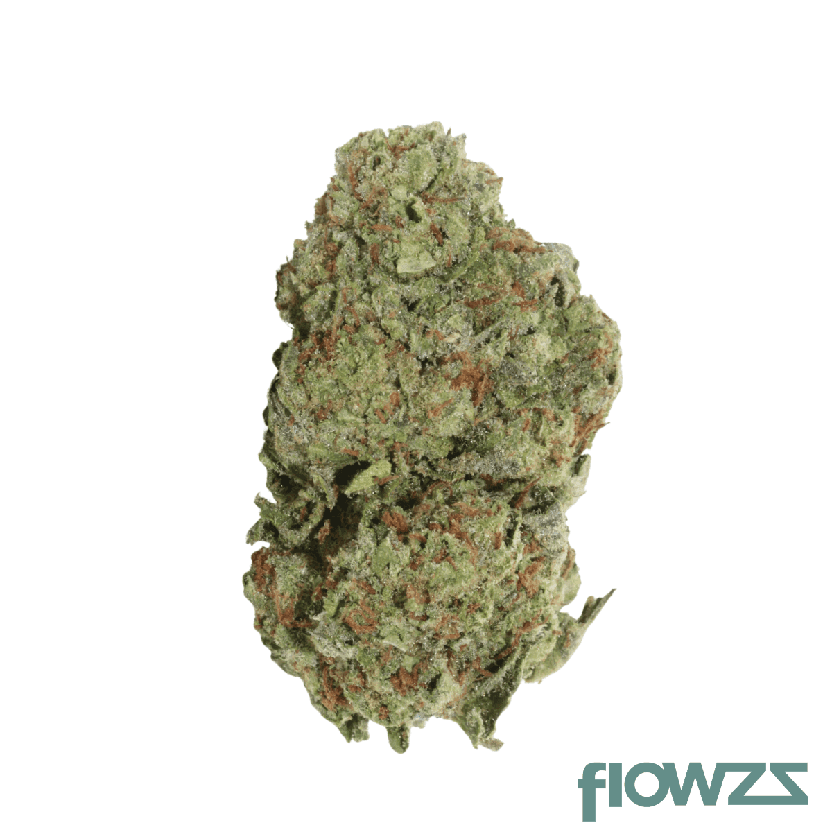 medical-saints-27-1-dbu-donkey-butter