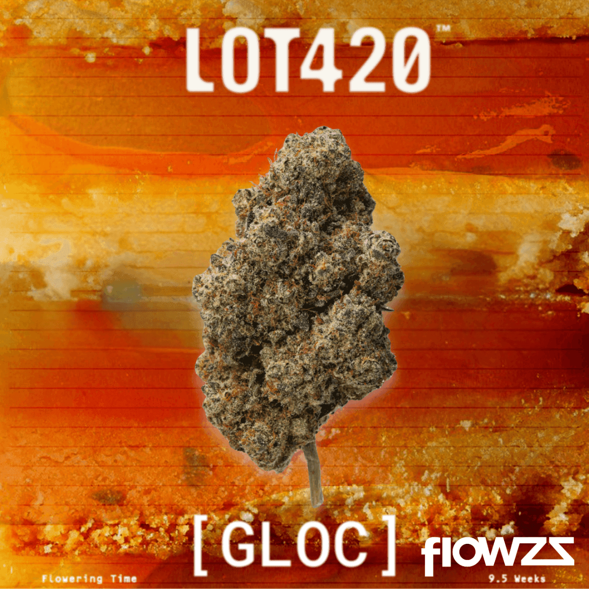 lot-420-gloc-gelato-x-orange-cake