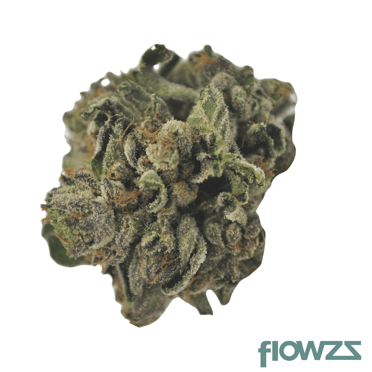 tilray-thc-25-spotlight-porto-purps