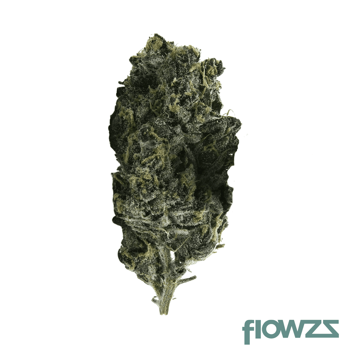 pop-up-no-23-24-karatz-13