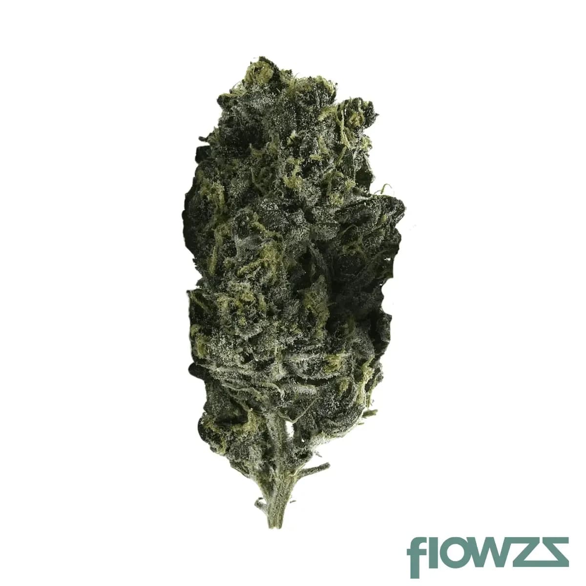 pop-up-no-36-24-karatz-13