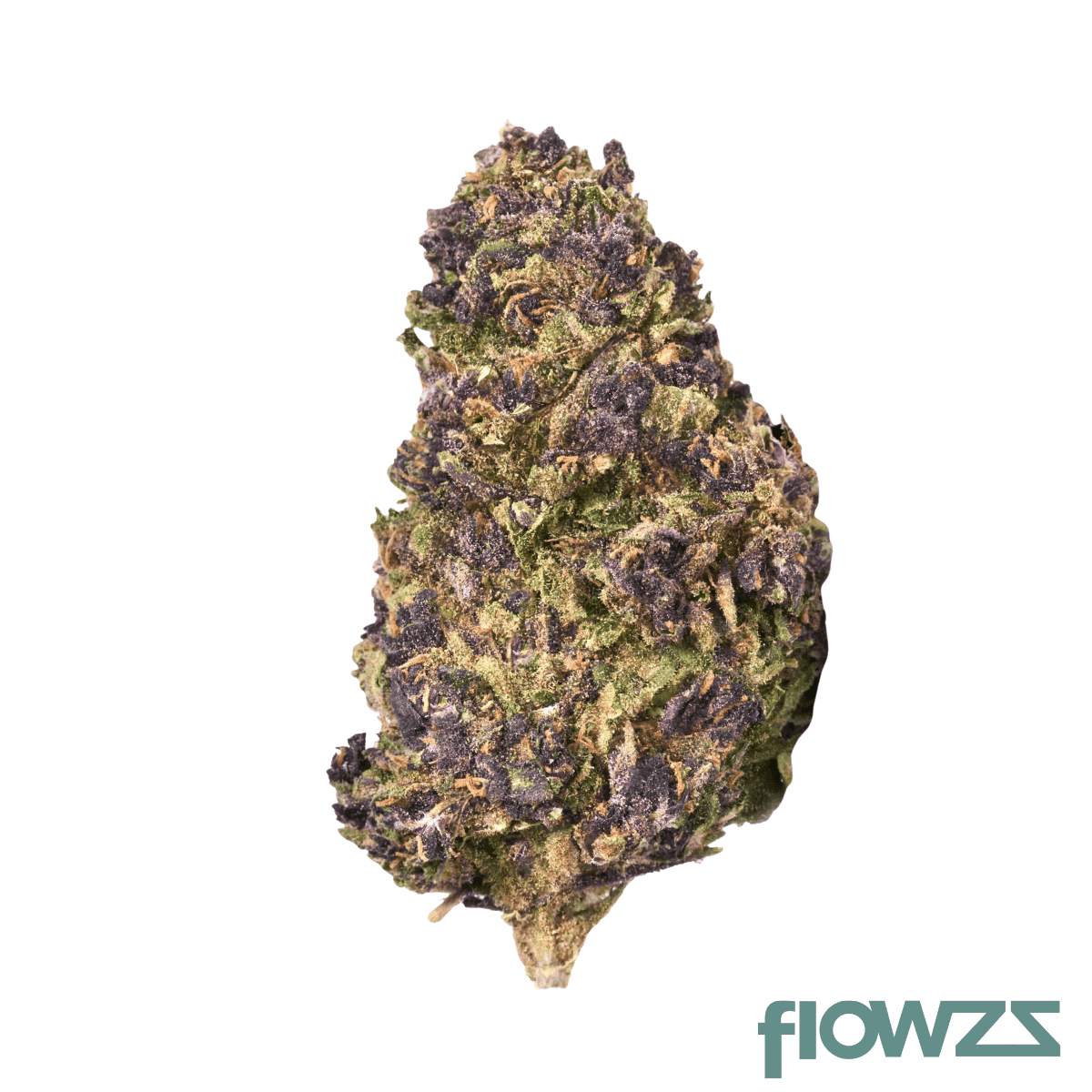 pop-up-no-20-purple-pistachio
