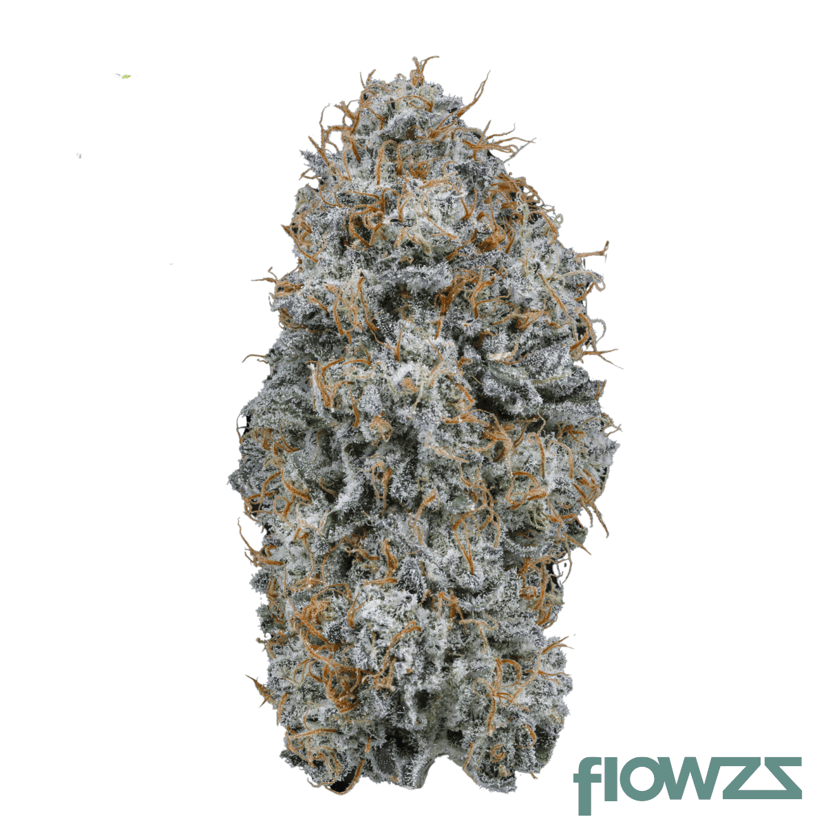 187-cannabisflower-ppp-thc22-classics-phantasia-purp