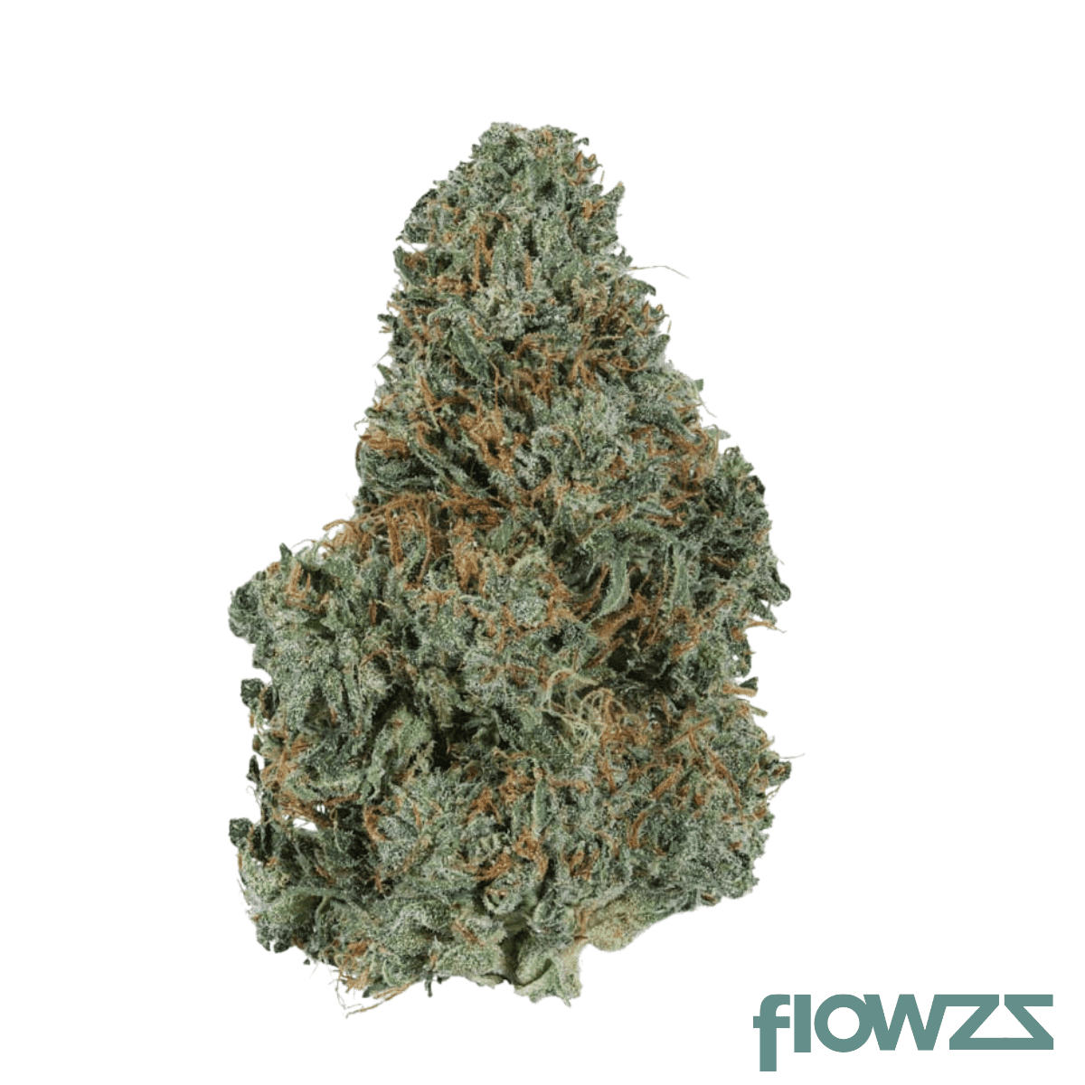 care-mik-thc23-mindfreak