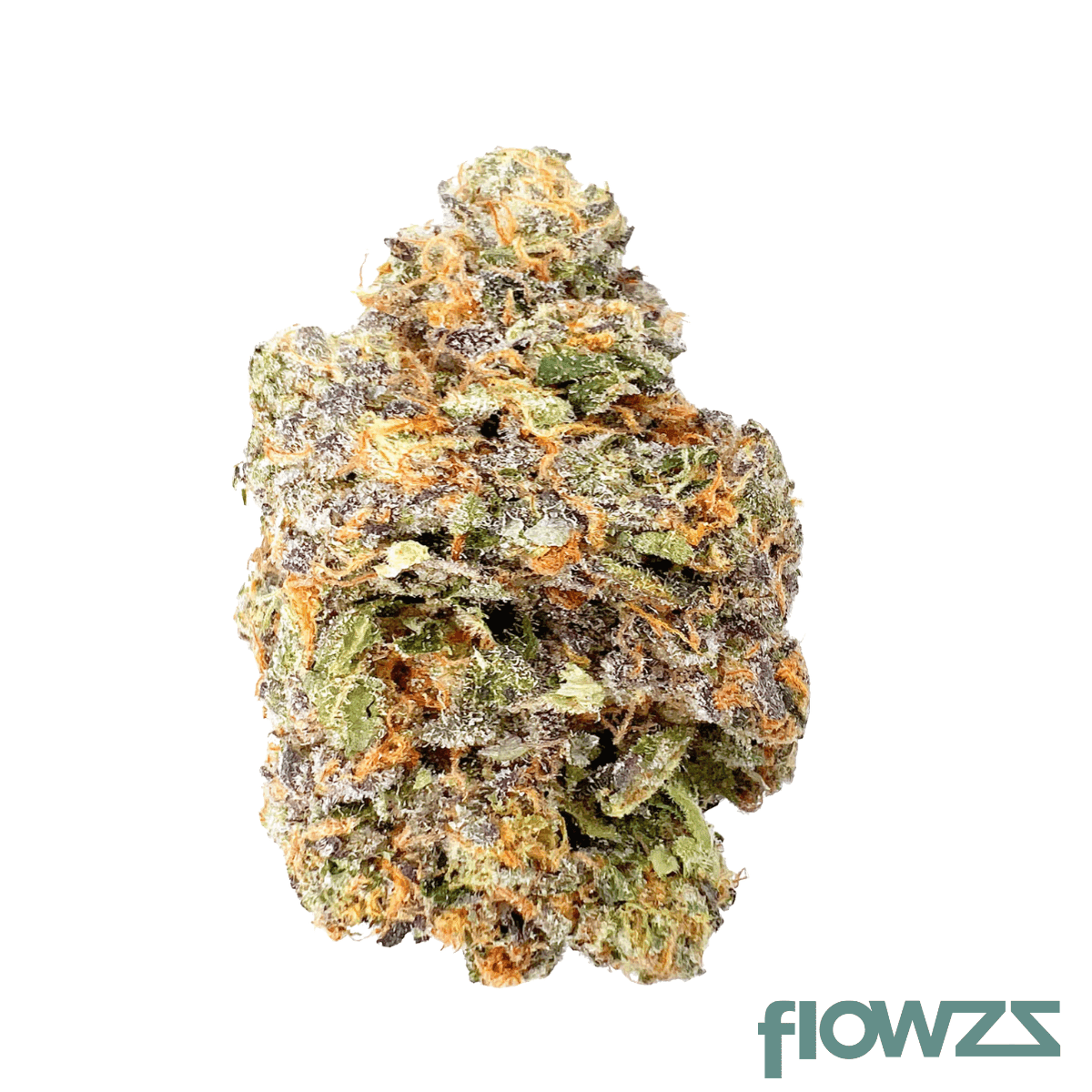 botanics-tonic-fuel-24-1-gary-payton