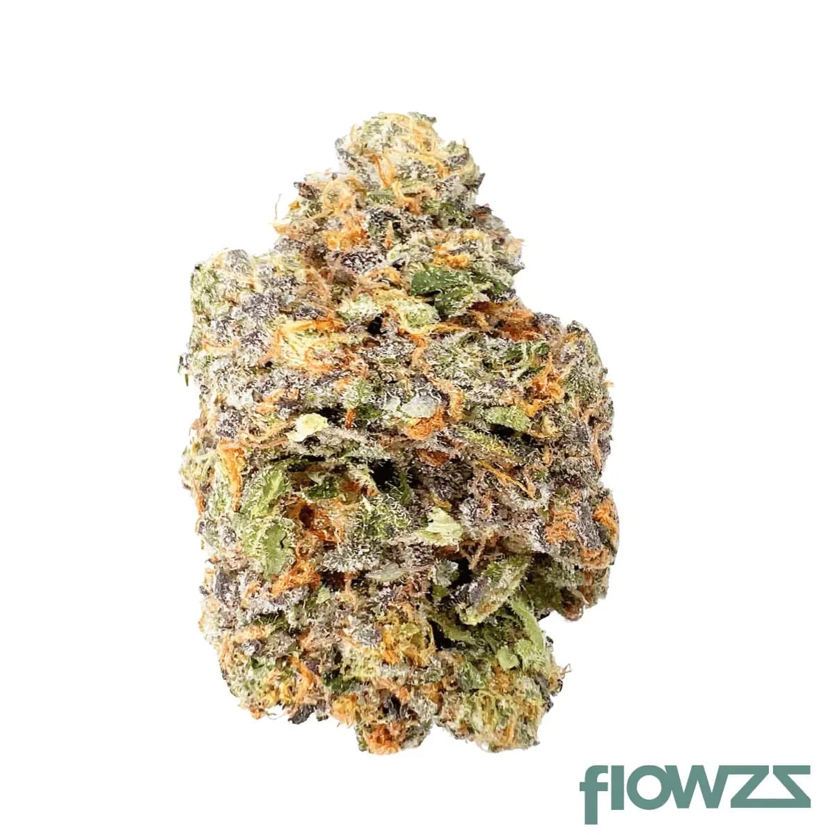 botanics-tonic-fuel-28-1-gary-payton