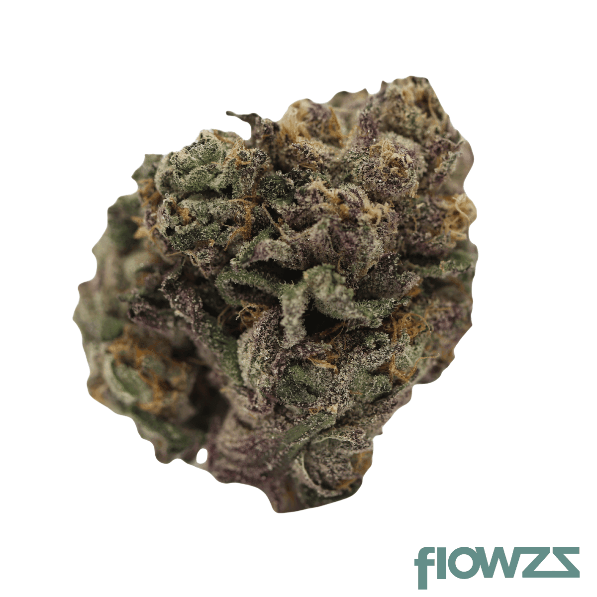 tilray-thc22-spotlight-porto-biscuit-rntz