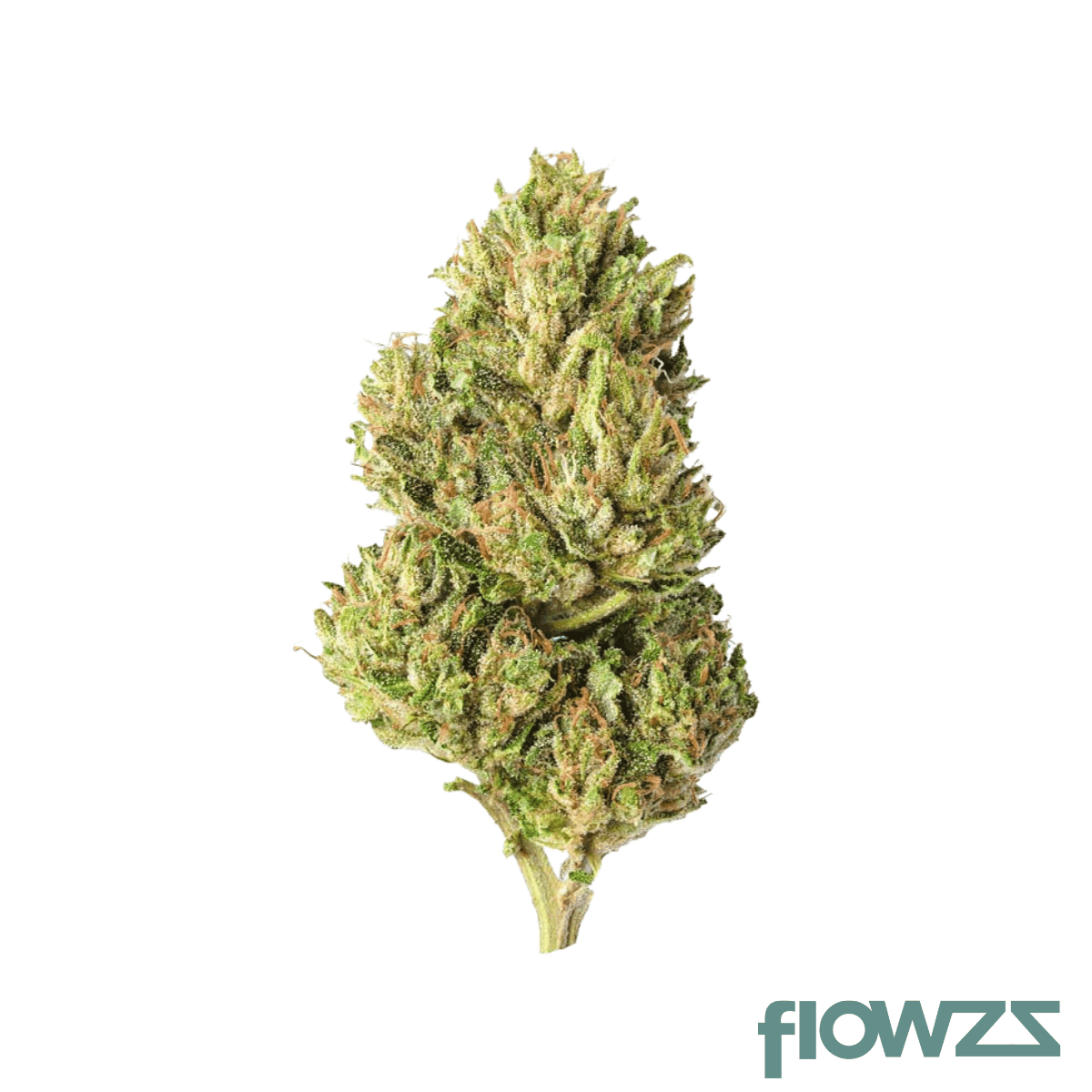 cannamedical-hybrid-classic-bc-garlic-truffle