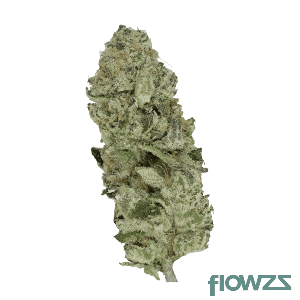 mgf-50-25-1-high-society-132