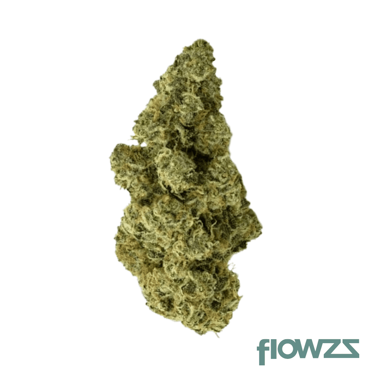 daily-special-25-1-fun-funky-berry