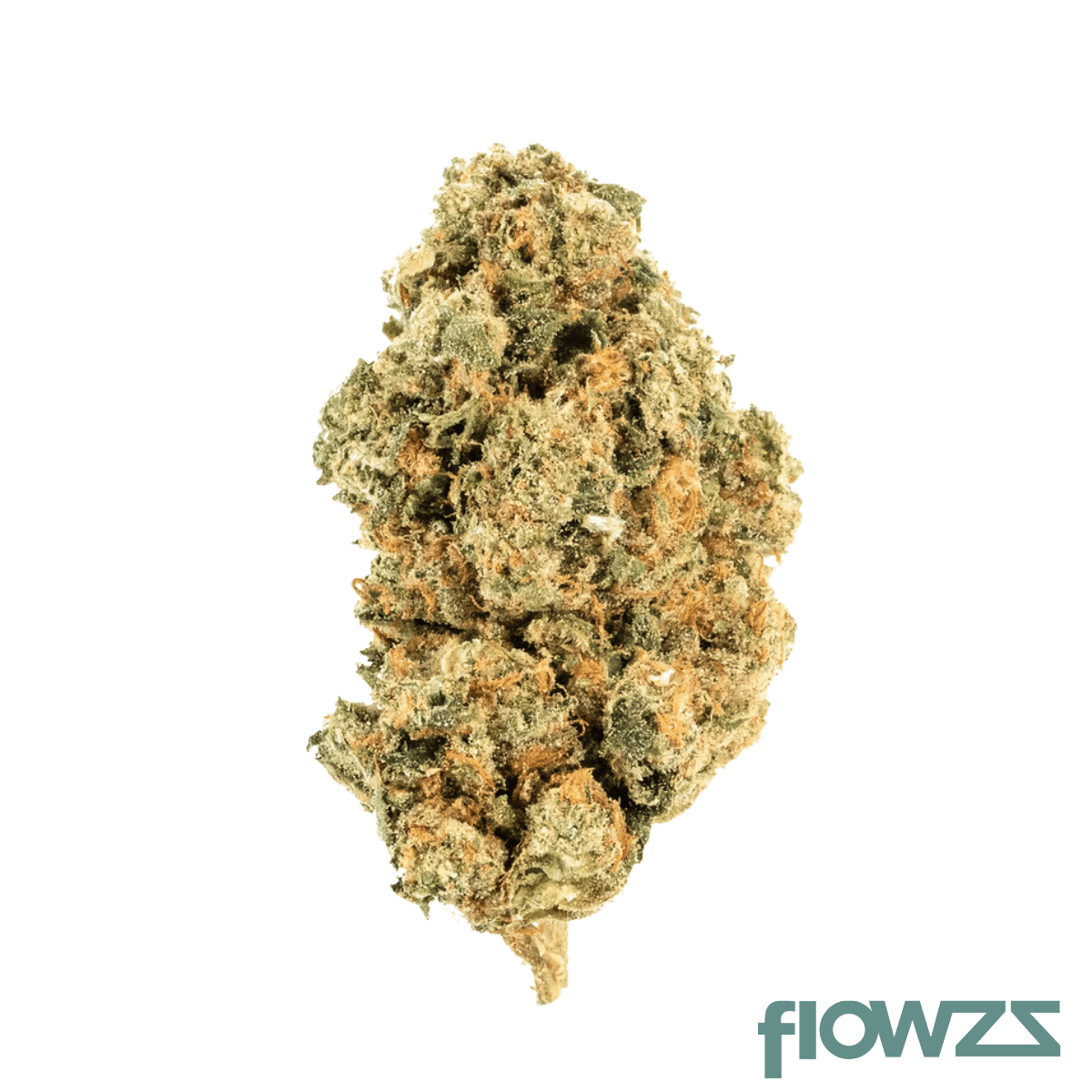 pop-up-no-1-22-1-red-bullz