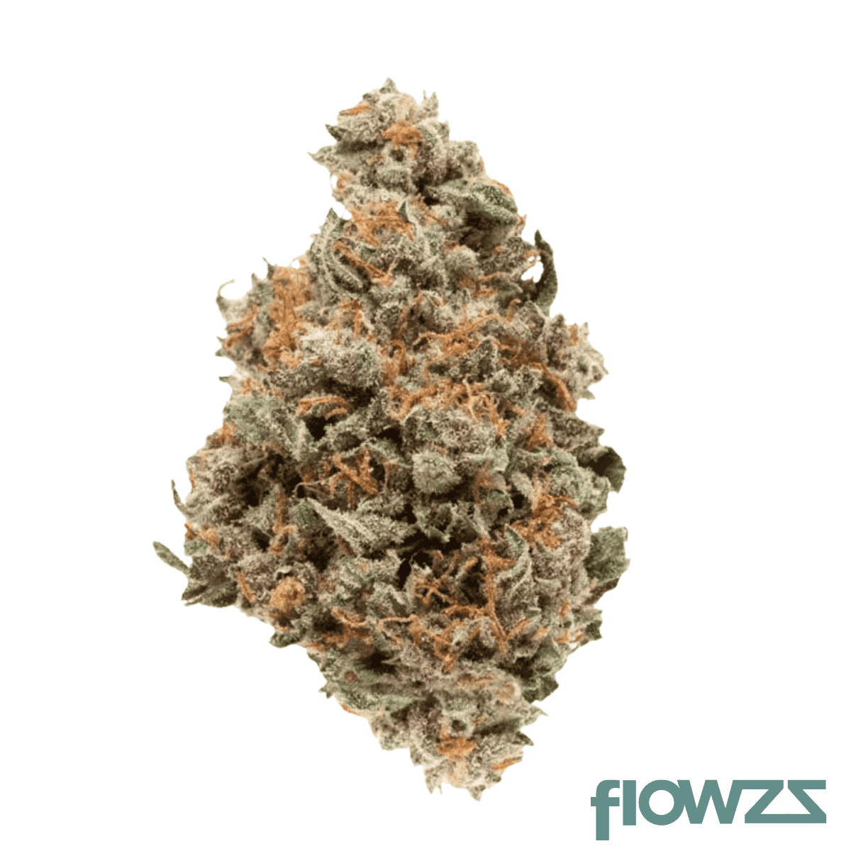 pop-up-no-28-jokerz-53