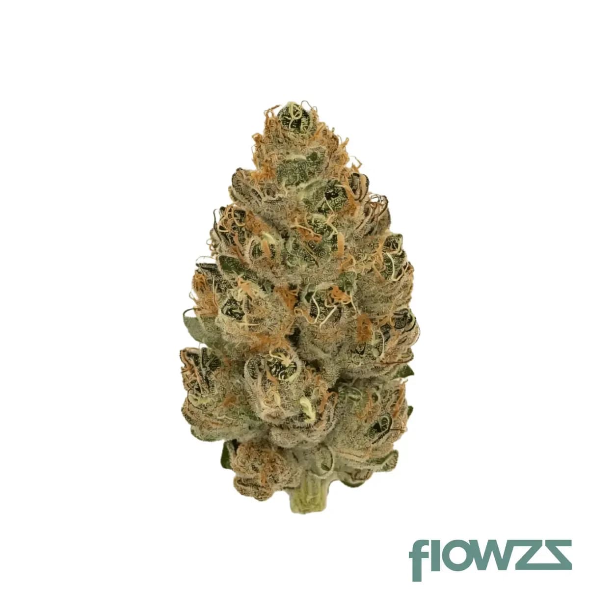 nice-24-1-nwa-new-waves