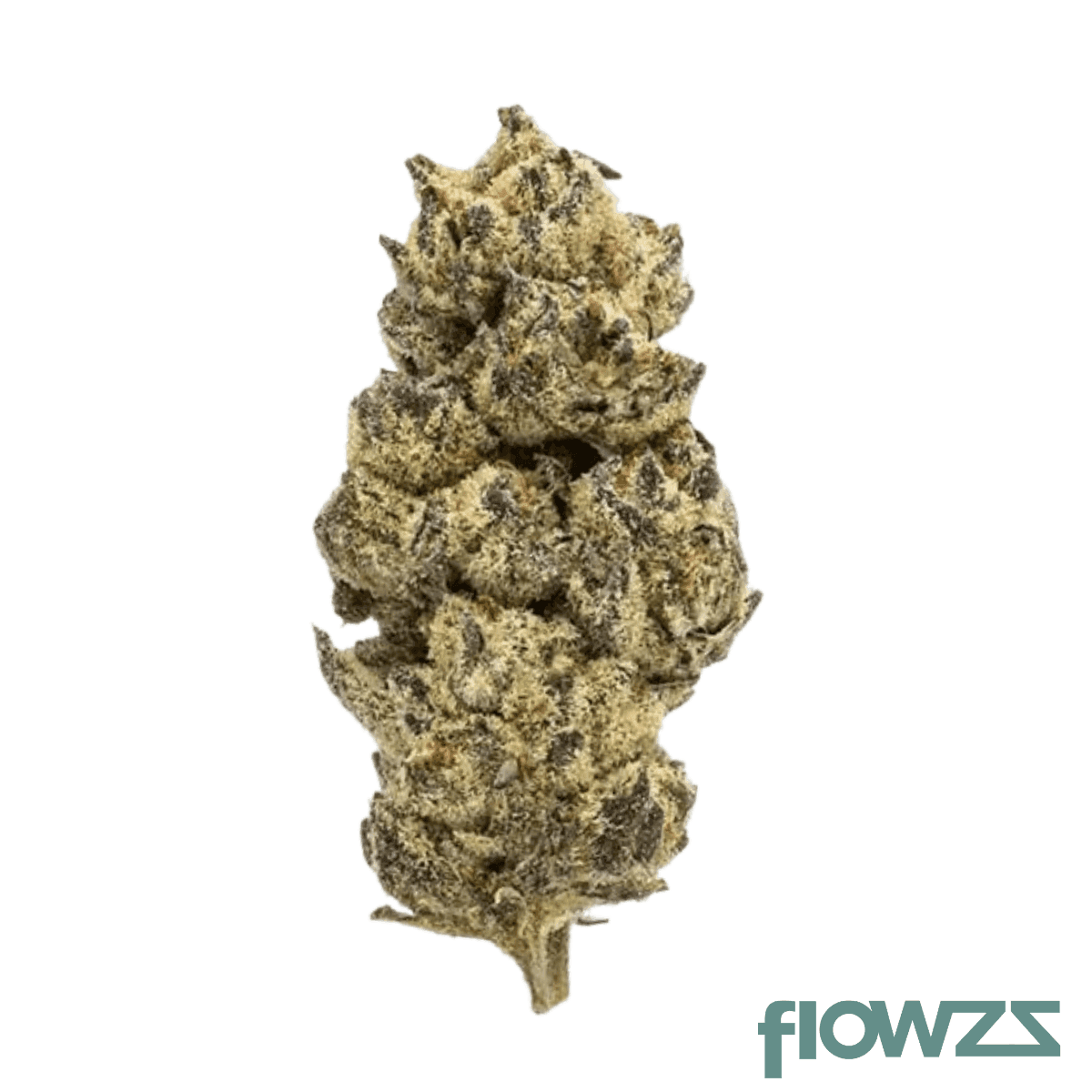 wieze-bcm-28-1-black-cherry-mint