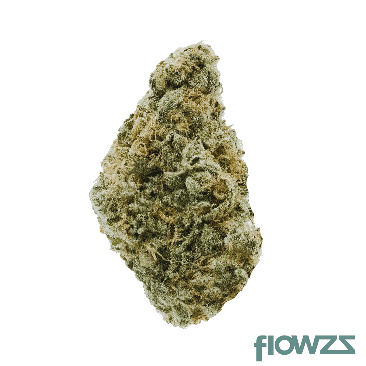 jr-strain-mn-31-1-mandarin-mac