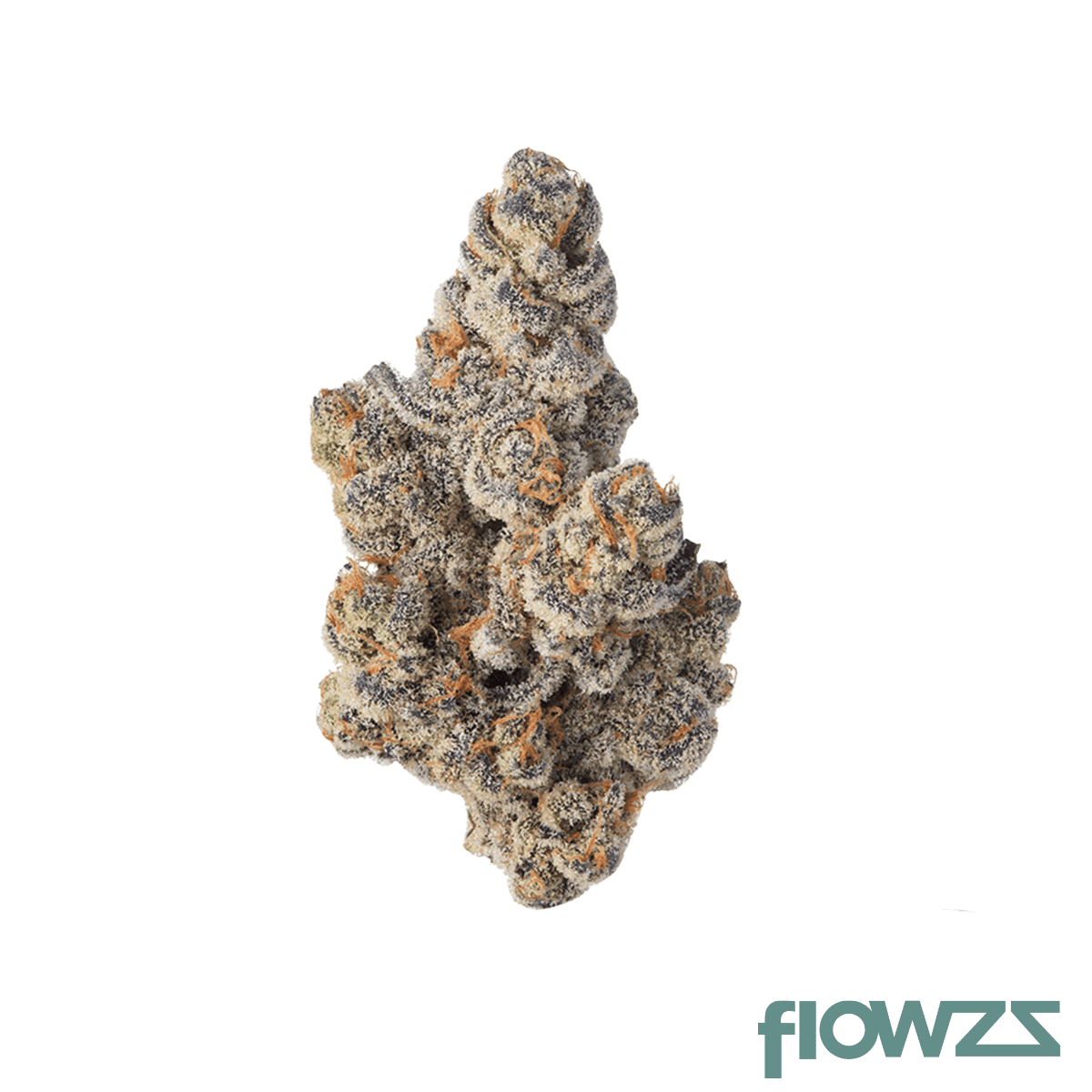 pop-up-no-18-25-1-glitter-bomb