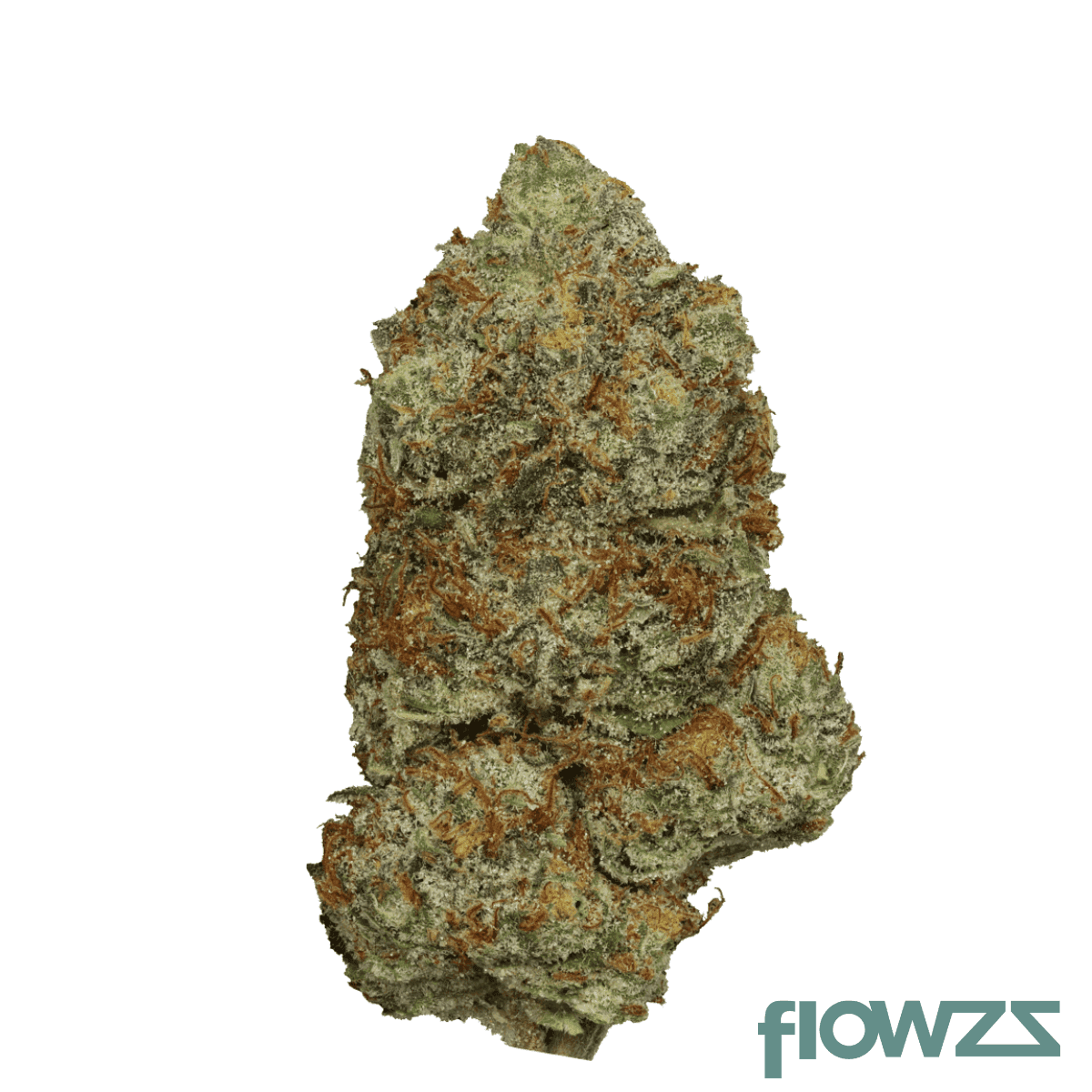 pop-up-no-18-25-1-tropicana-banana