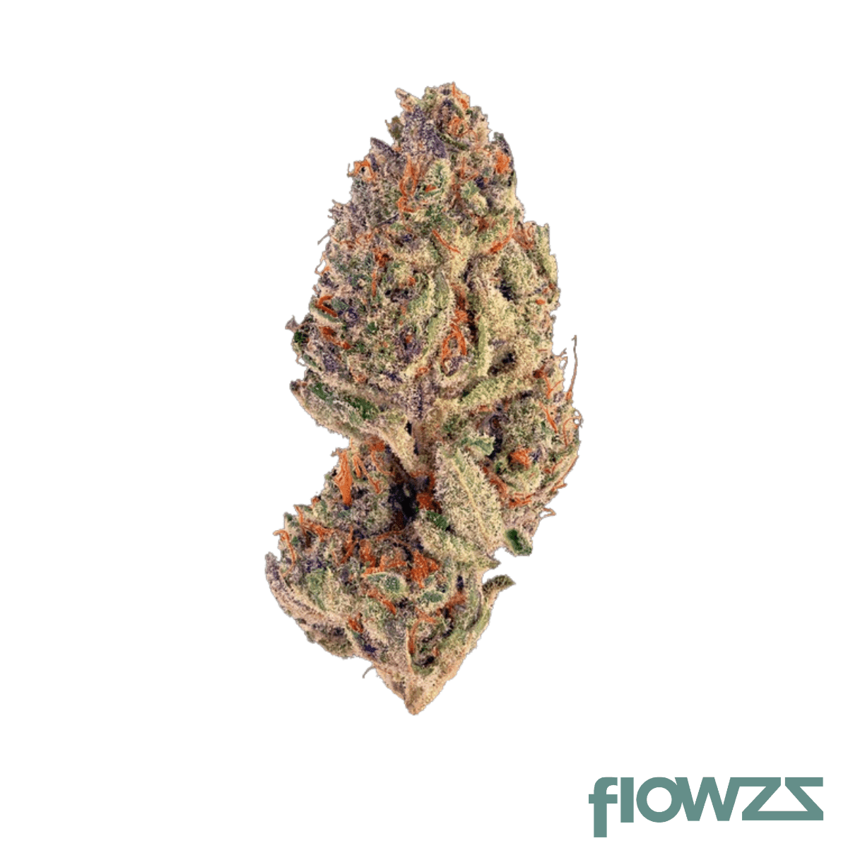 pop-up-no-11-26-1-pienana