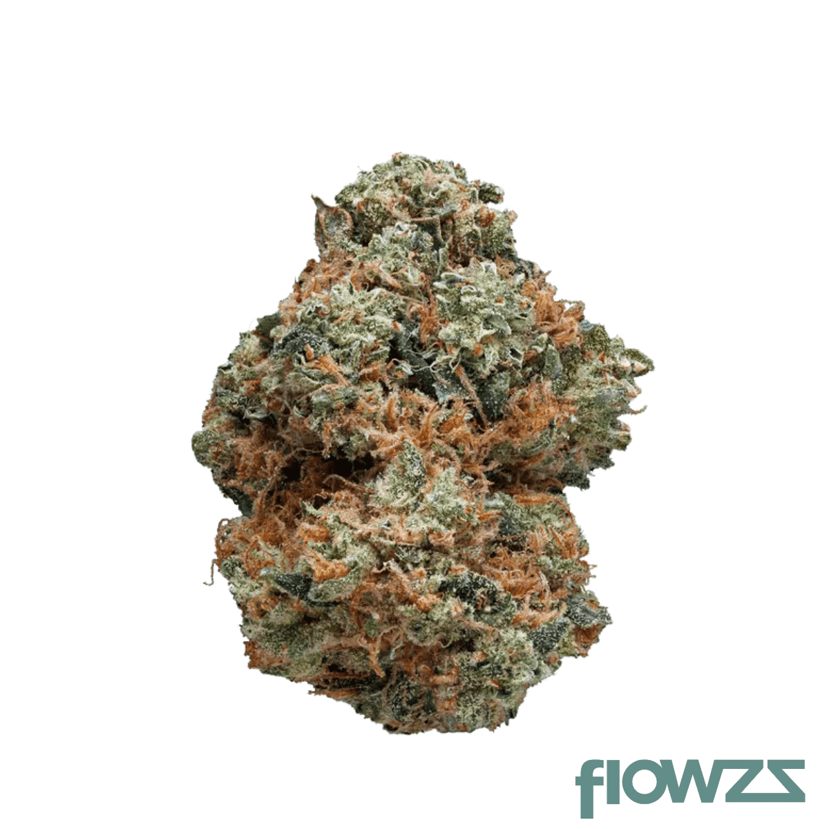 barongo-28-1-pp-pink-panther