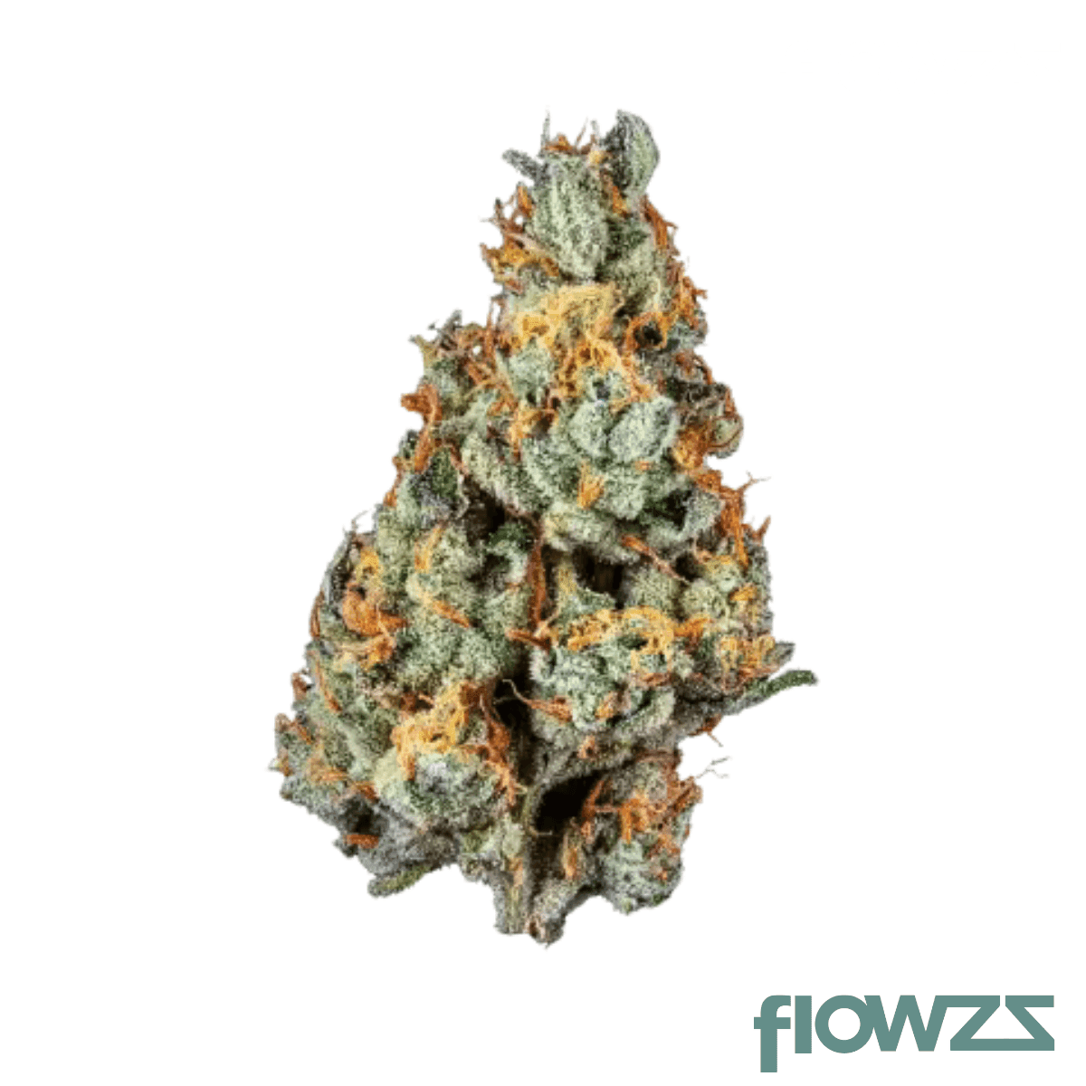 slouu-30-1-cdo-chem-dawg-og