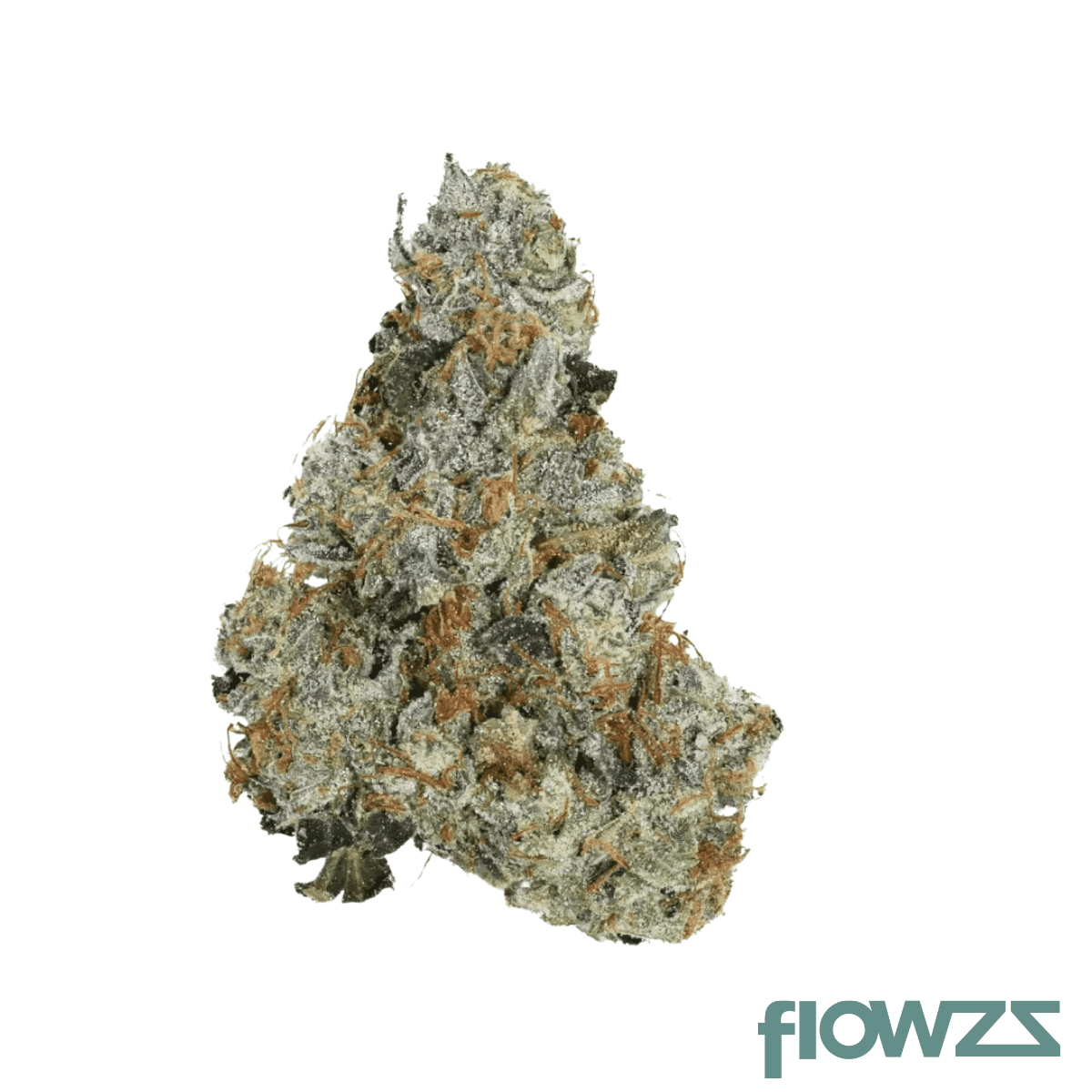 daily-special-25-1-gmo-omg-gmo