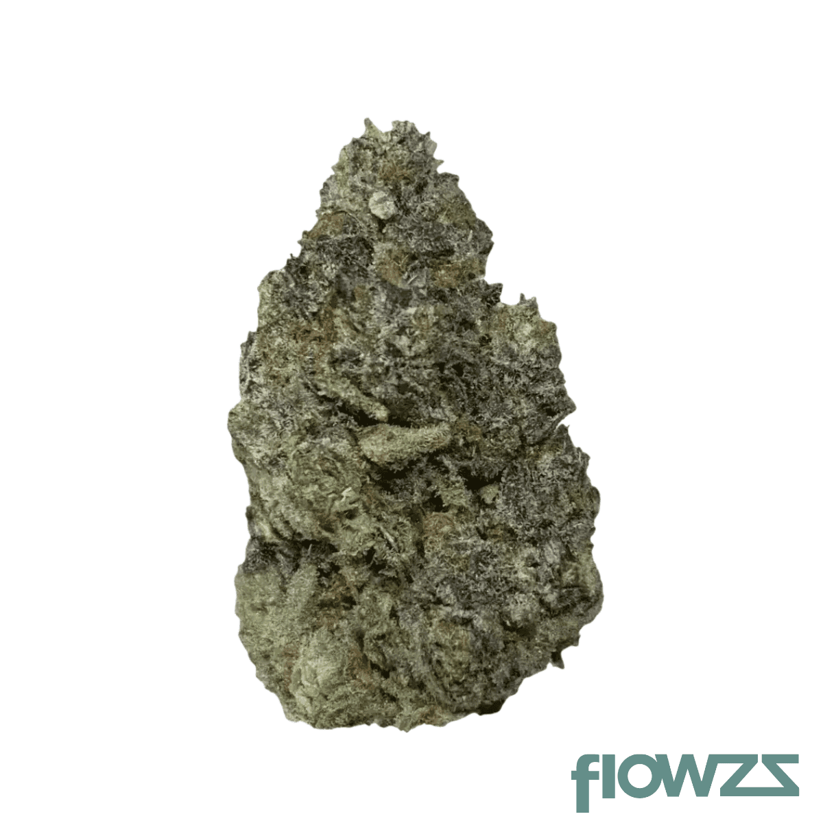 enua-33-1-qkz-ca-fight-club