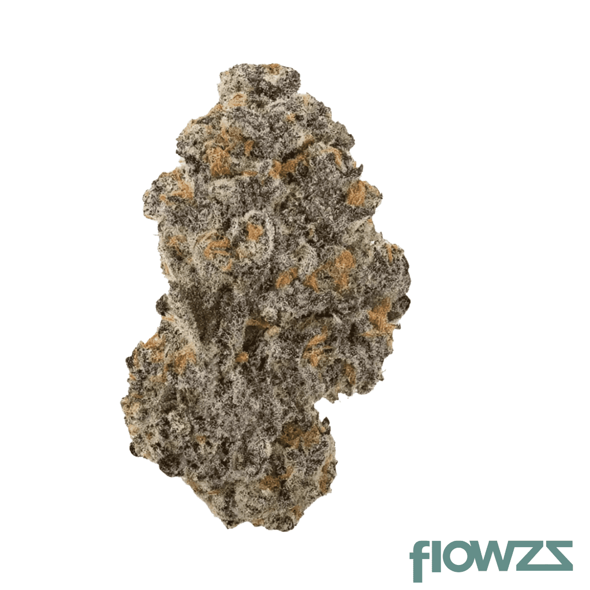 remexian-27-1-rhc-ves-venice-sunset