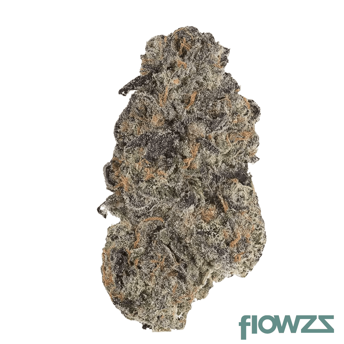 pop-up-no-3-22-1-el-chivo-20