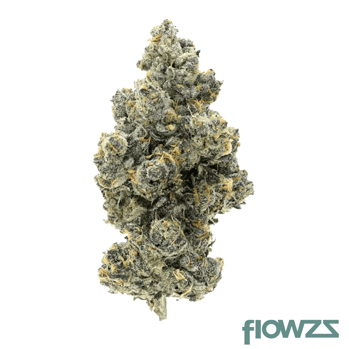 cannamedical-hybrid-forte-ka-ring-of-sour