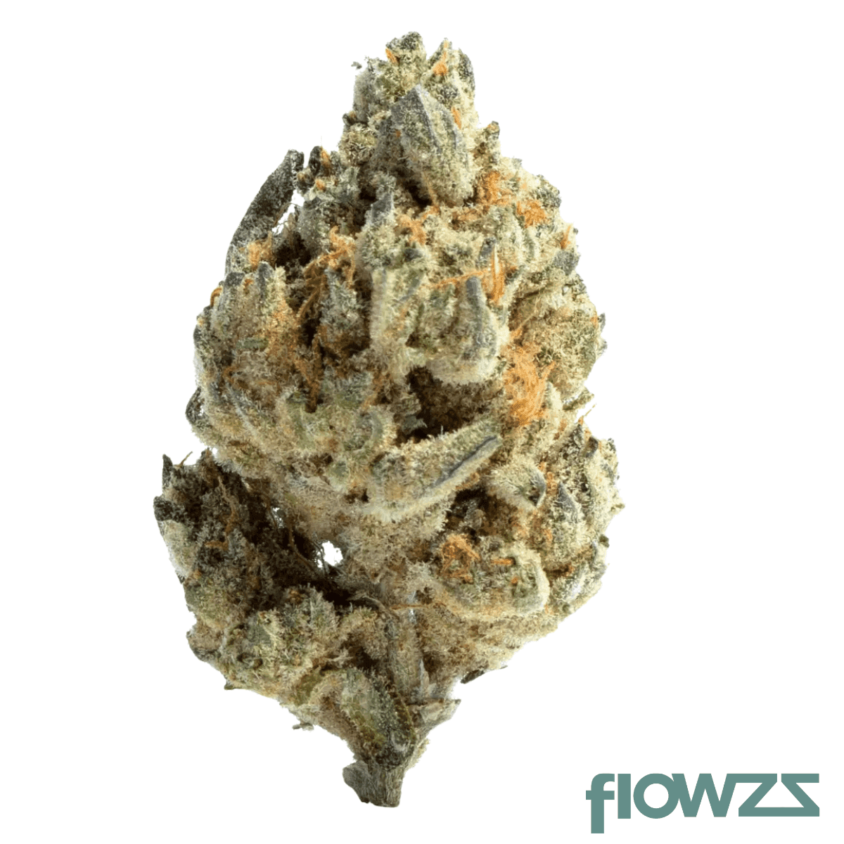 apollo-28-1-jgn-think-fast