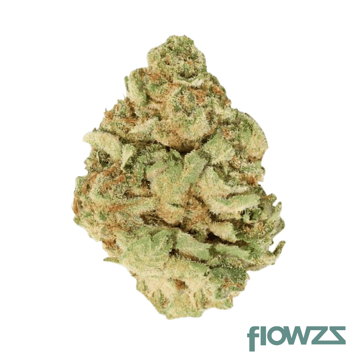 coyote-valley-27-1-hpi-honey-pie