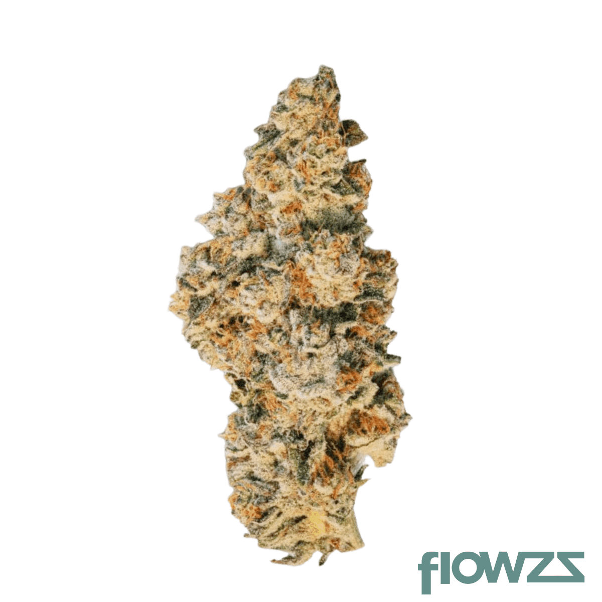 30-1-amici-crl-crystal-locomotive