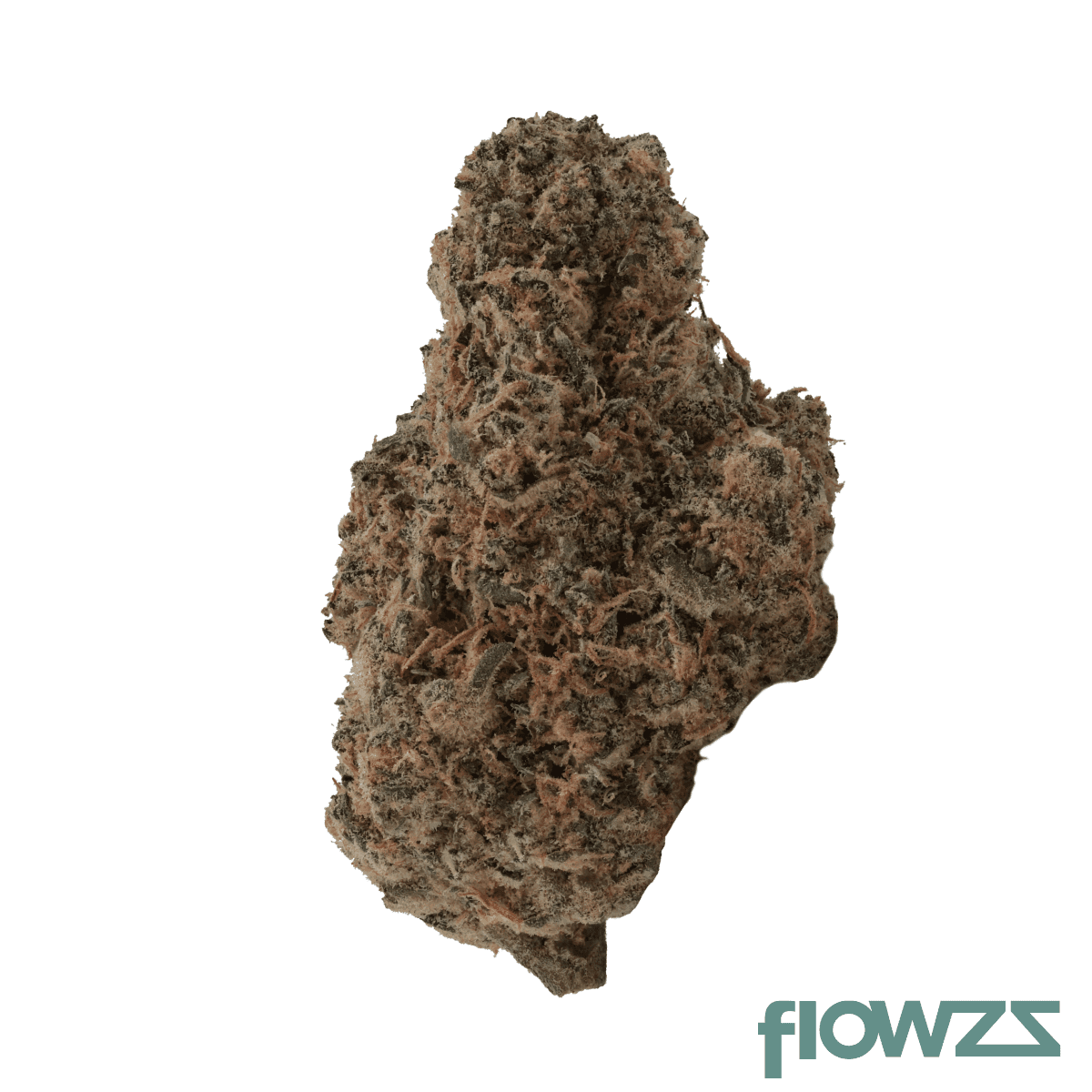 culture-des-sommets-27-1-fco-frosted-cookies