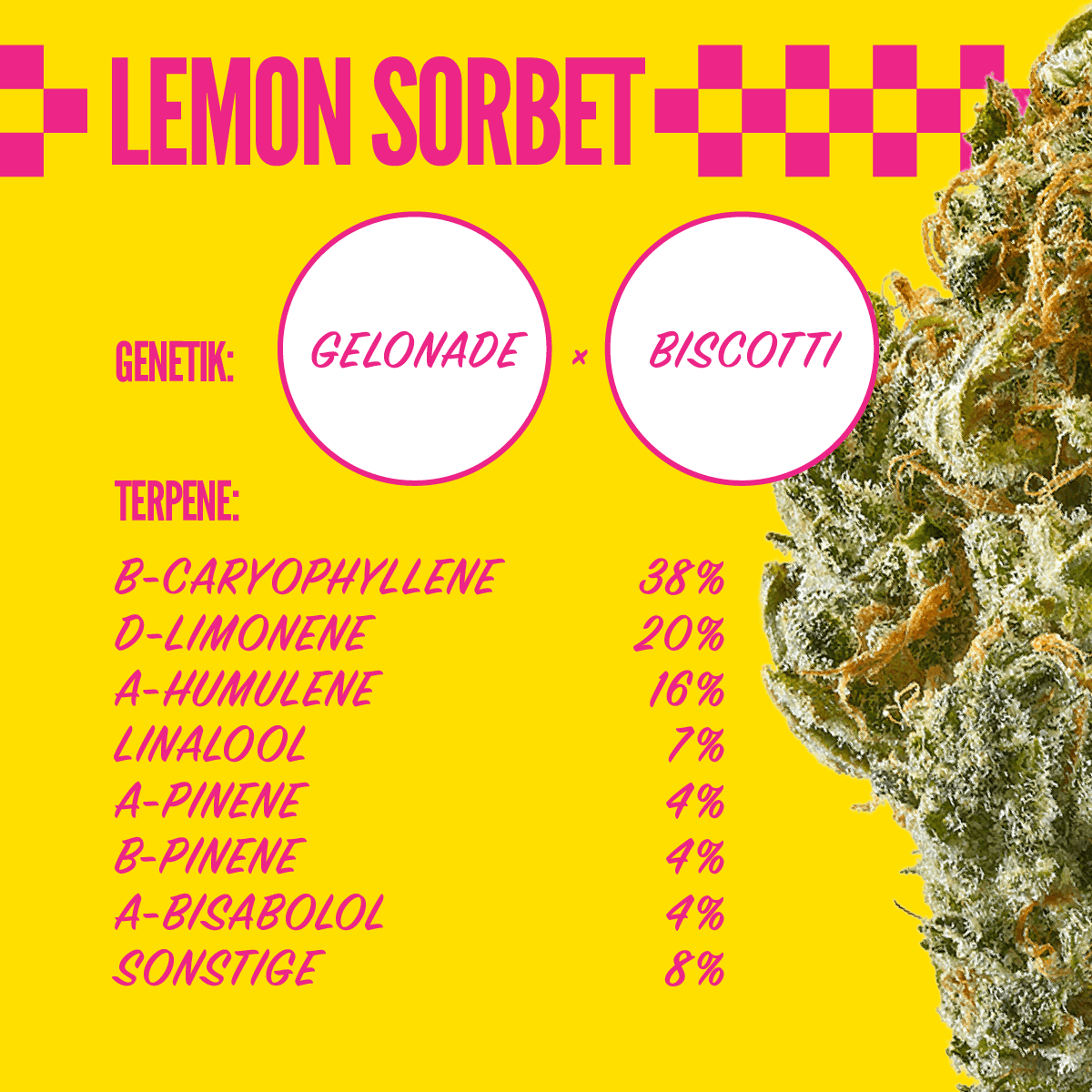 Daily Special 21/1 LES Lemon Sorbet