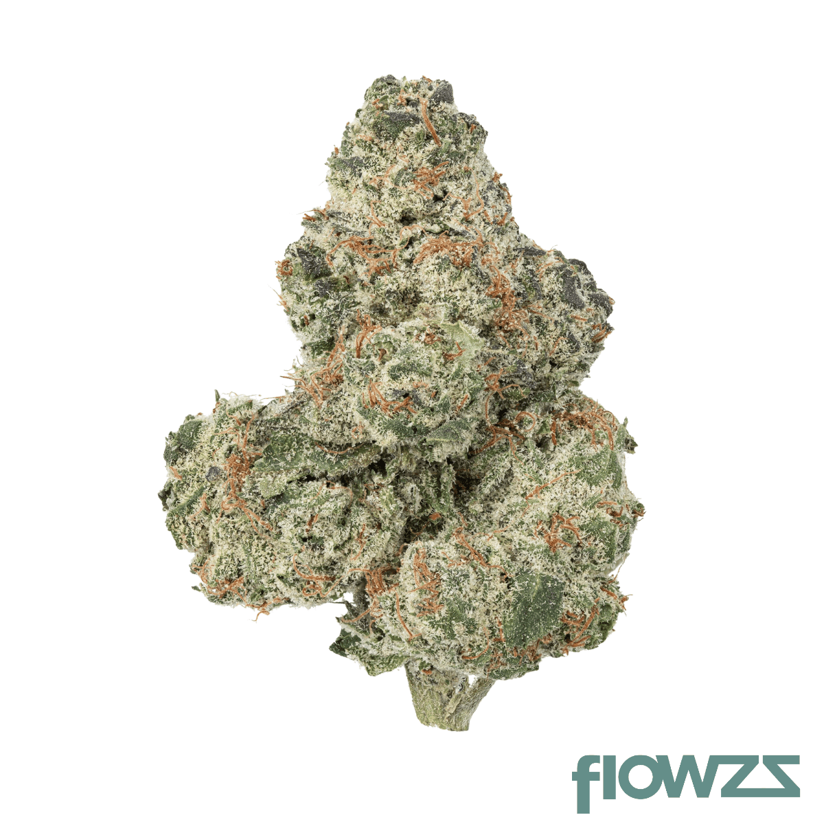 demecan-core-lmn-23-01-lemon-tree