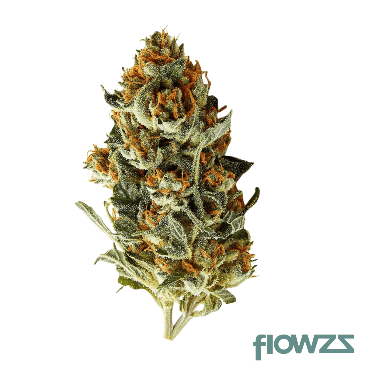 demecan-gt-mrsw-drop-marshmallow-og