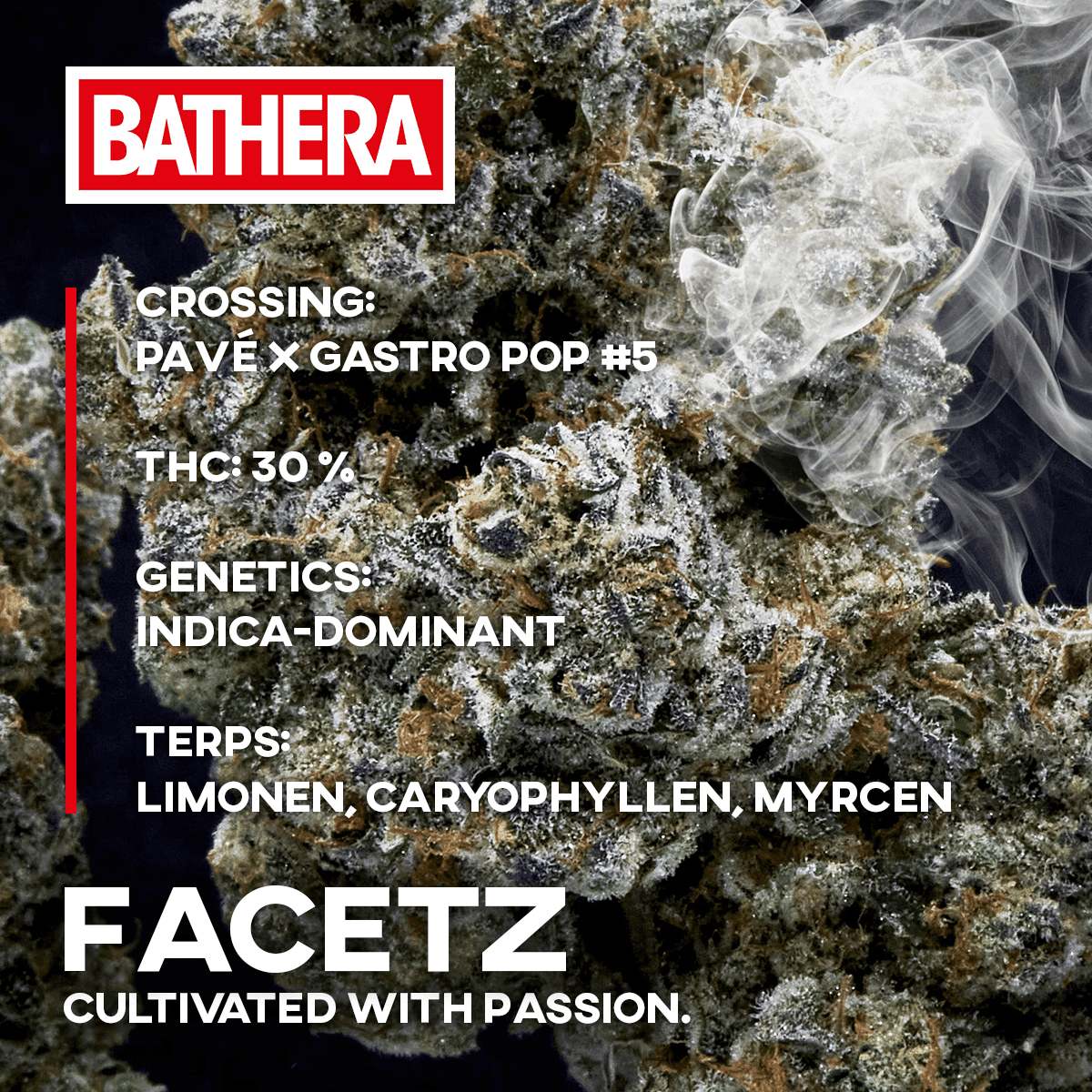 Bathera 30/1 FA Facetz