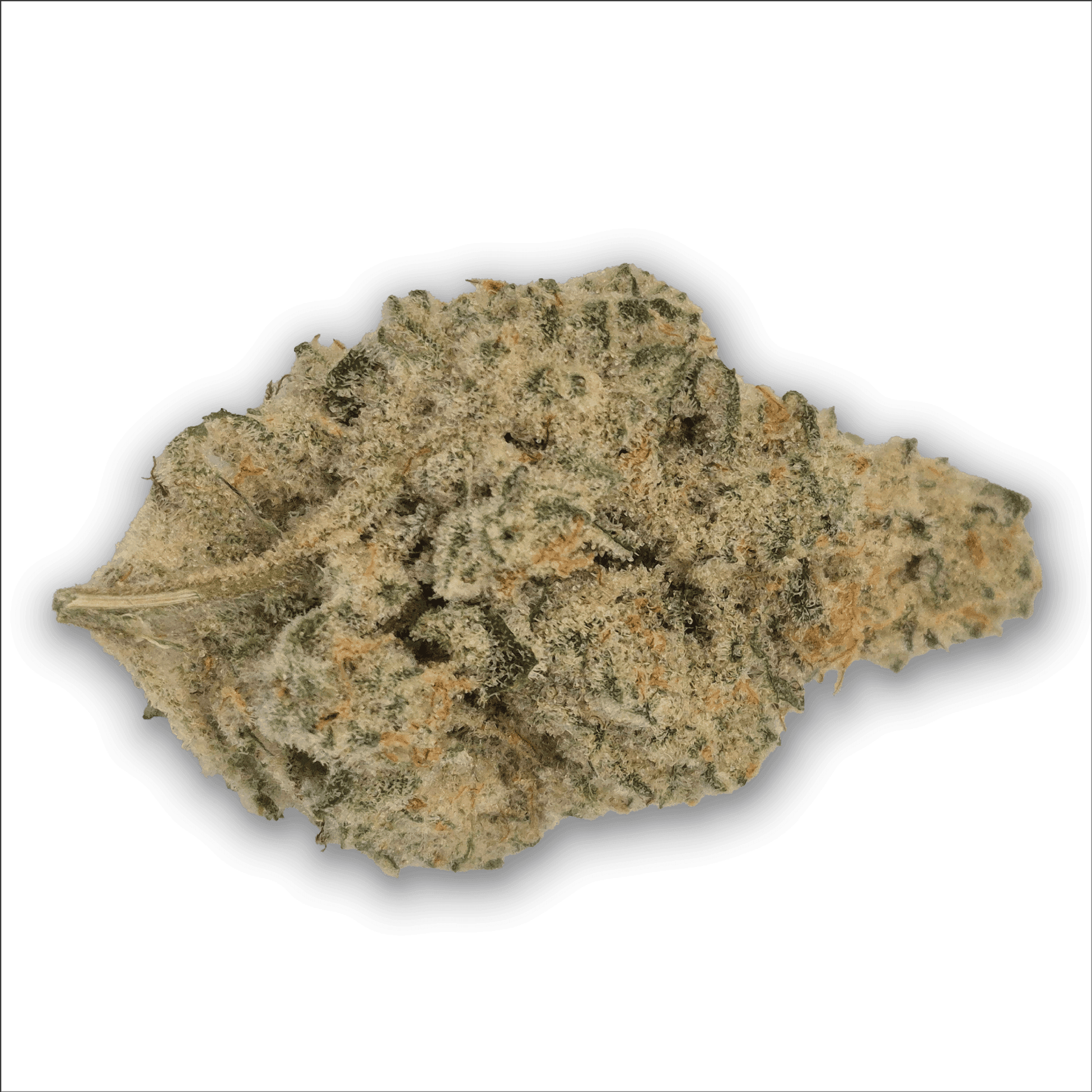 Khiron CJ 27/1 Cap Junky
