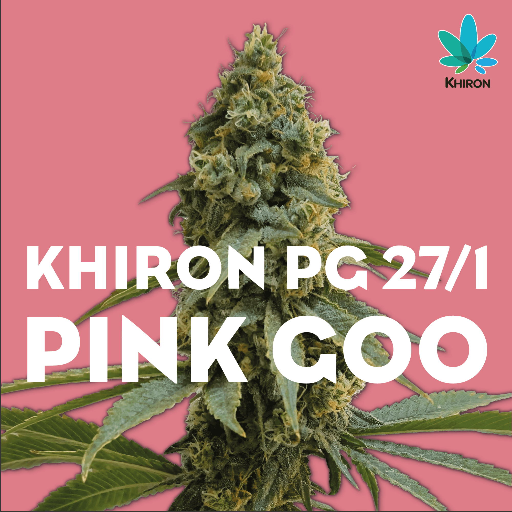  Khiron PG 27/1 Pink Goo
