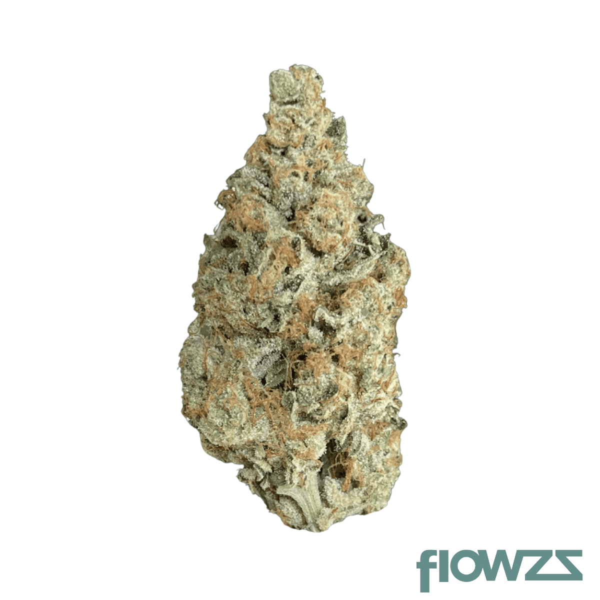 fast-leaf-27-1-frm-fritter-mintz