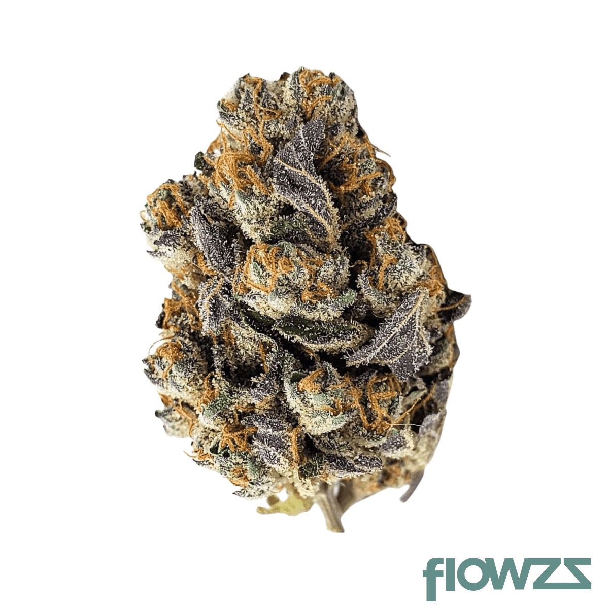 fuzzy-wuzzy-28-1-gastro-pop