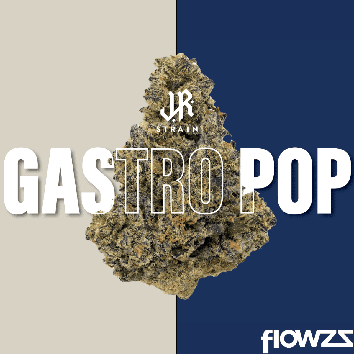 J.R. Strain GP 28/1 Gastro Pop
