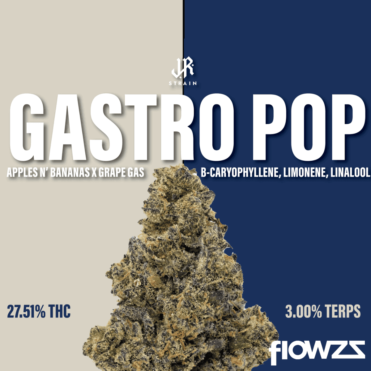 J.R. Strain GP 28/1 Gastro Pop