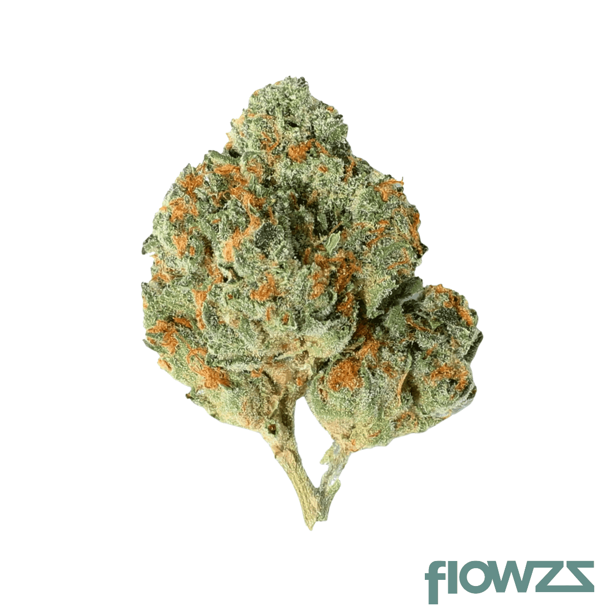tweed-htq-25-1-high-torque