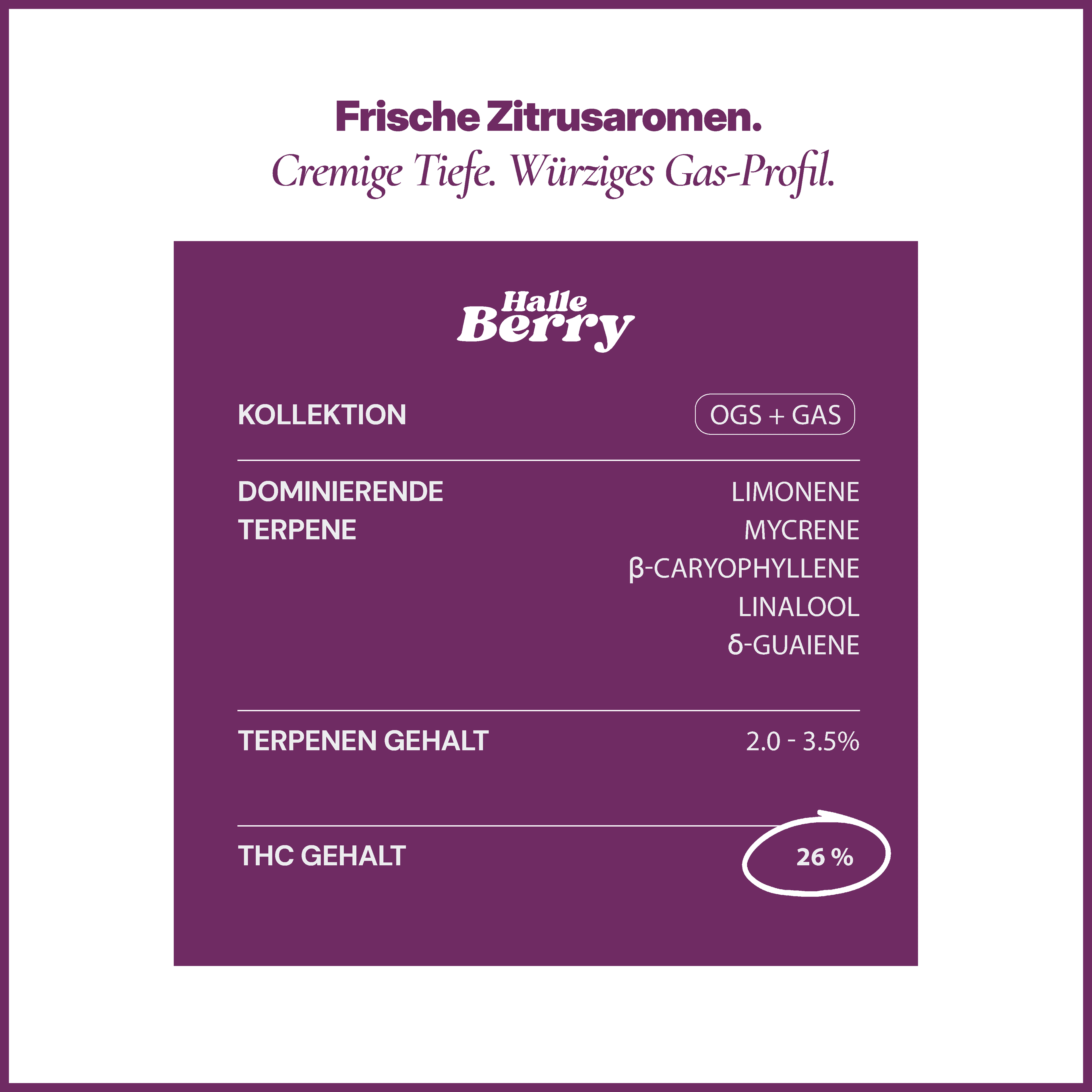 PURPLEFARM 28/1 HB Halle Berry