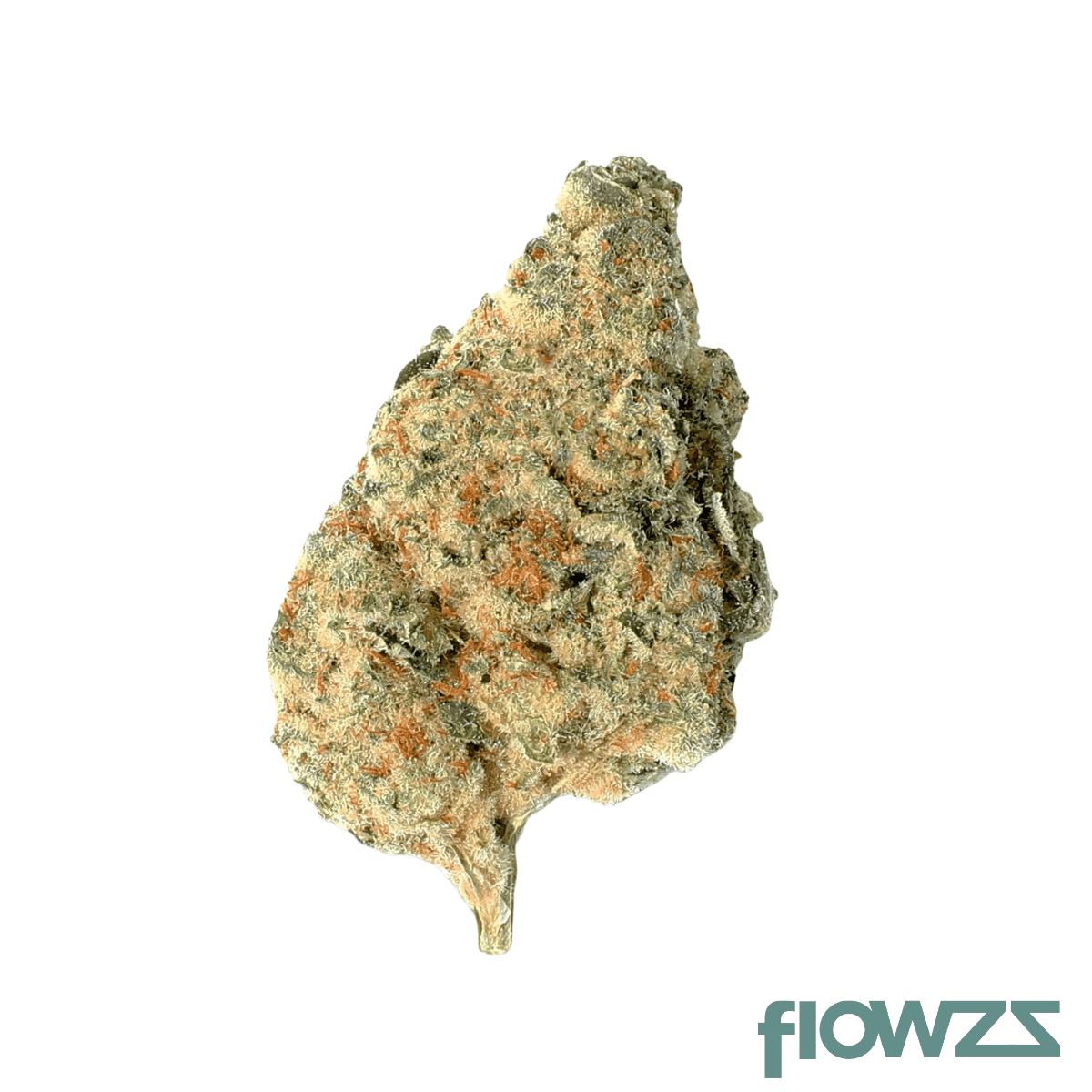 hidealz-24-1-ms-pab-papaya-bomb-smalls