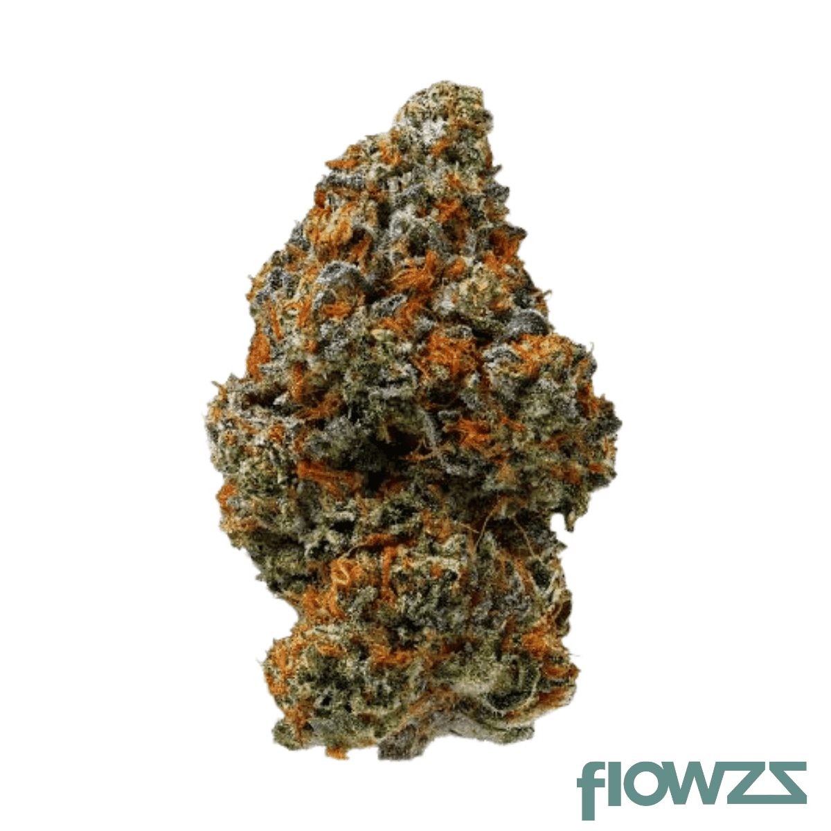island-genetics-kogb-27-1-kool-grapes