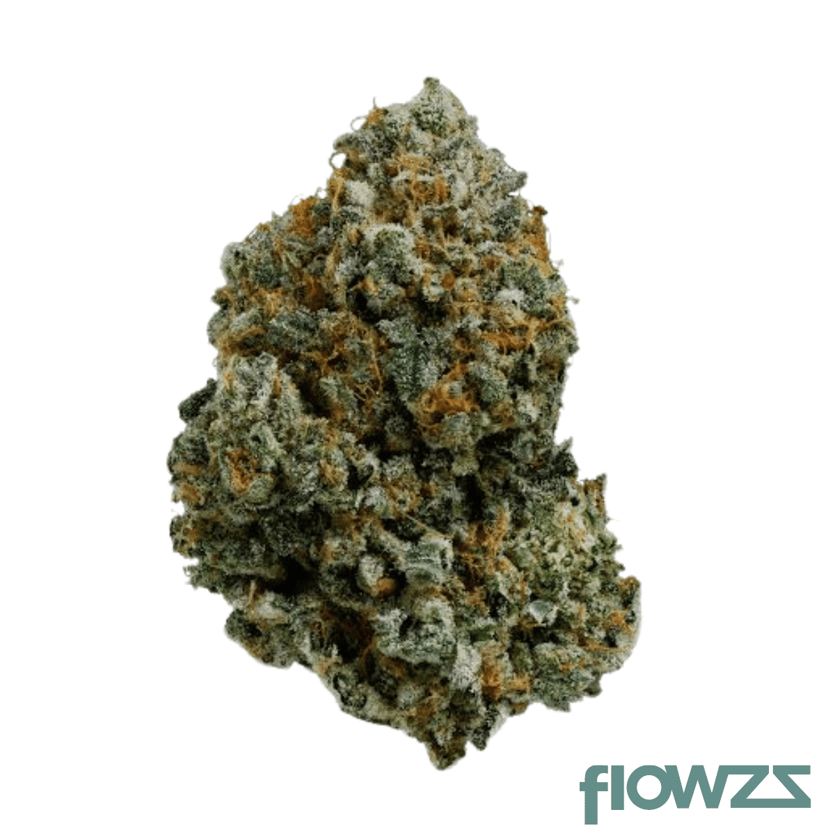 island-genetics-lmhd-27-1-lime-heads